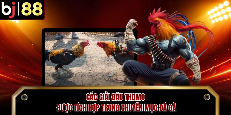Các giải đấu Thomo được tích hợp trong chuyên mục đá gà 